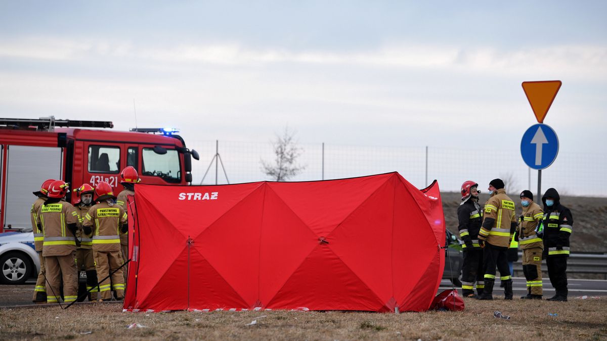 Zdjęcie ilustracyjne. 