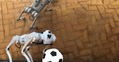Czworonożny robot drybluje w lidze terenowej. A zwinny jak w Lidze Mistrzów