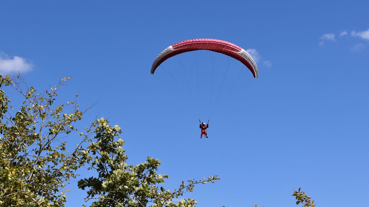 Śląskie. Paralotniarz zahaczył o drzewo i spadł z kilku metrów. 