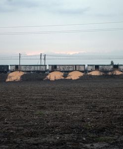 Incydent ze zbożem koło Bydgoszczy. "Nawet gospodarze byli zdziwieni"