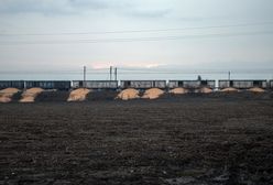 Incydent ze zbożem koło Bydgoszczy. "Nawet gospodarze byli zdziwieni"