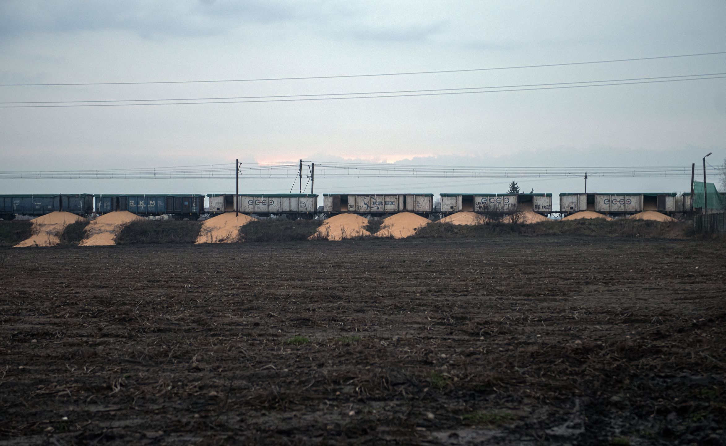 BYDGOSZCZ, POLAND - FEBRUARY 25: Piles of corn lying on the ground near train cars in the village of Kotomierz, Kuyavian-Pomeranian region, Poland on February 25, 2024. Eight wagons of a freight train containing corn, coming from Ukraine according to Kyiv, were opened and their contents dumped on a railway track in Poland. (Photo by Stringer/Anadolu via Getty Images)