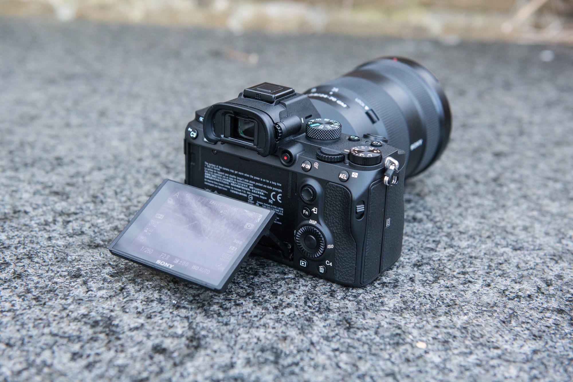 Sony A7 III, czyli podstawowa pełna klatka dla profesjonalistów - pierwsze wrażenia i zdjęcia przykładowe 16