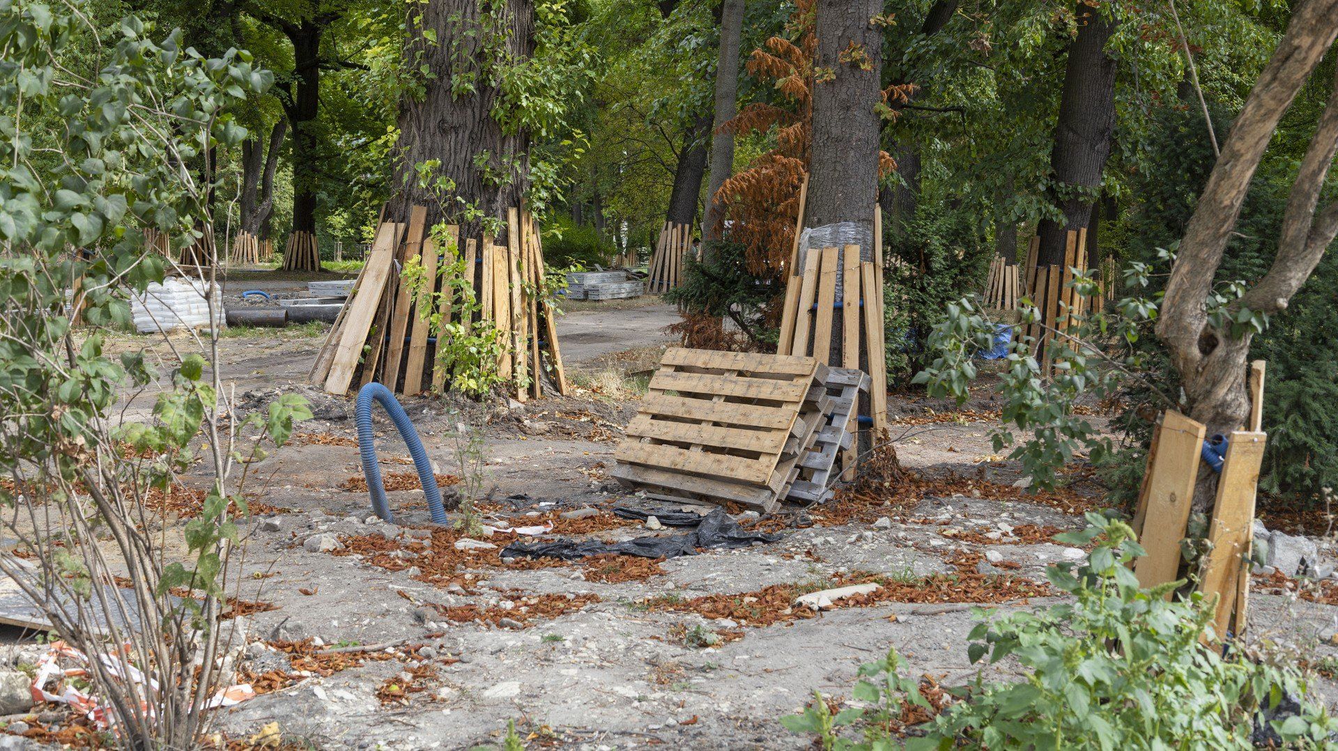 Remont Parku Bronowice