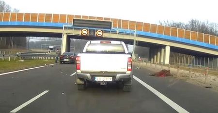 Dzik dostał się na drogę ekspresową. Niebezpieczna sytuacja na obwodnicy Lublina