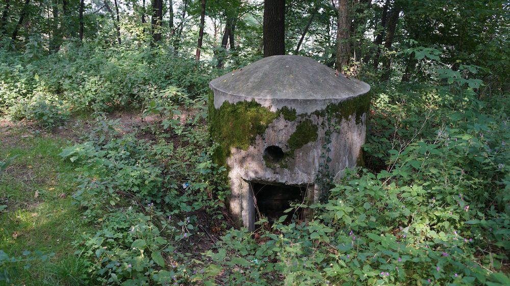 Jak z pomocą smartfonu zdobywać warownie? 37