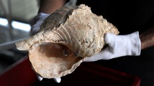 Niezwykłe odkrycie w Hiszpanii. Dla wielu może to być zaskoczenie