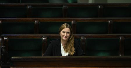 "Nikt tak nie mówi". Z SAFE nie można kupić broni z USA?