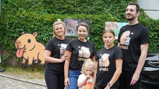 Zlot fanów kapibary w łódzkim Orientarium ZOO