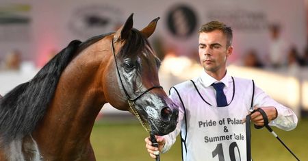 Pride of Poland 2021. Słynna aukcja przyniosła niemal 1,6 mln euro