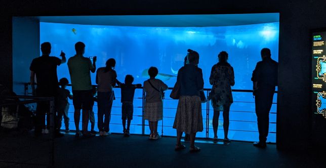 Centralne akwarium widoczne zaraz po wejściu do oceanarium