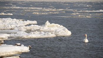 Pod żadnym pozorem nie dotykaj. Apelują do spacerujących w Trójmieście