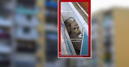 Balkon grozy w Poznaniu. Lokatorzy nie mogą wytrzymać