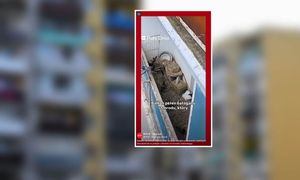 Balkon grozy w Poznaniu. Lokatorzy nie mogą wytrzymać