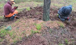 To nie grzybobranie. Tego szukają leśnicy w tym okresie