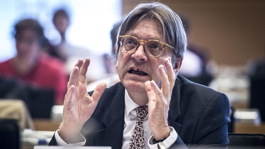 Guy Verhofstadt jest przewodniczącym grupy politycznej liberałów w Parlamencie Europejskim