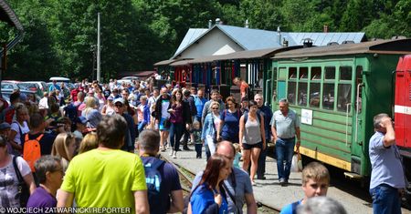Bieszczady. Cisza i głusza czy hipsterski tłum na szlaku? Jak wygląda alternatywa wobec Zakopanego