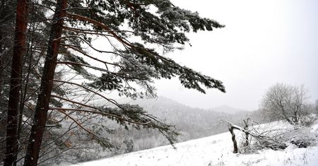 Bieszczady: ogłoszono trzeci stopień zagrożenia lawinowego