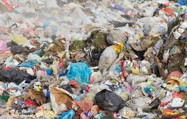 Naukowcy odkryli gatunek grzyba, który zjada plastik