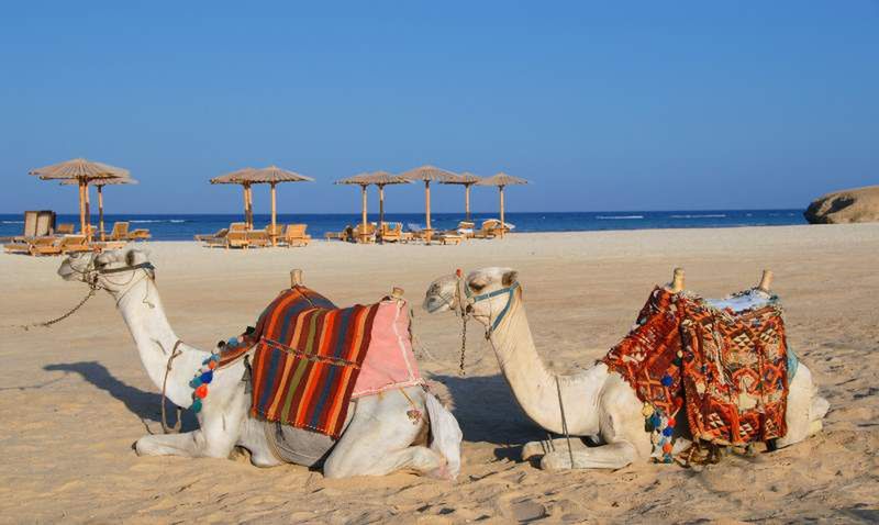 Czy to koniec wakacji w Egipcie?