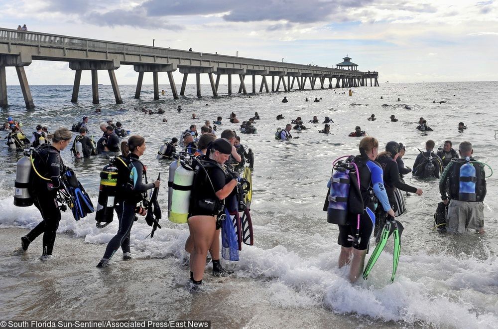 Zeszli pod wodę na Florydzie. Znaleziska 633 płetwonurków robią wrażenie