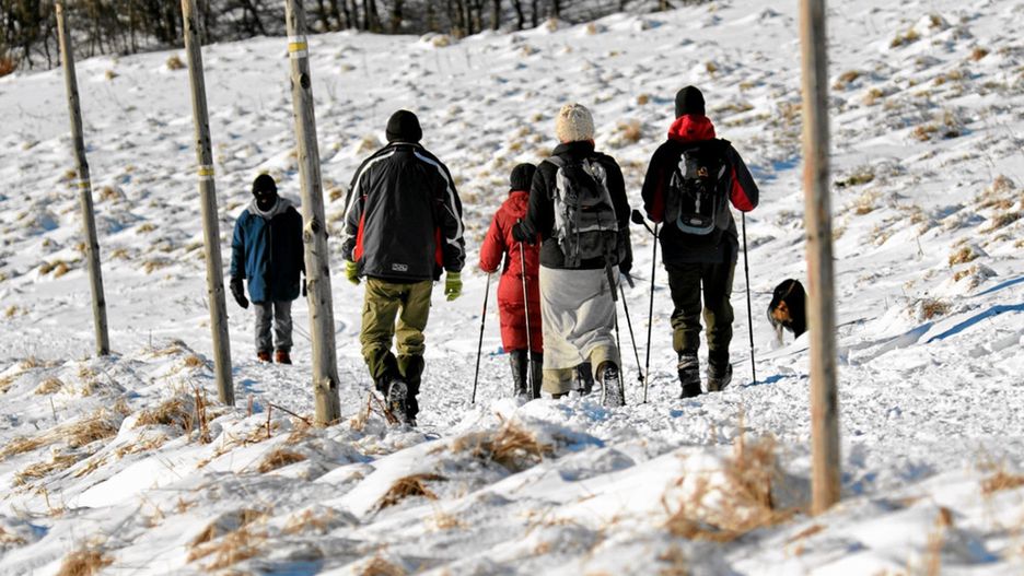 Turyści wybrali się na wycieczkę w Bieszczady. Zgubili się