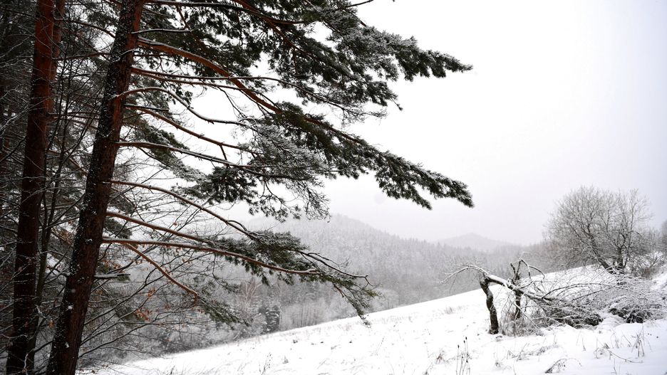 Bieszczady: ogłoszono trzeci stopień zagrożenia lawinowego