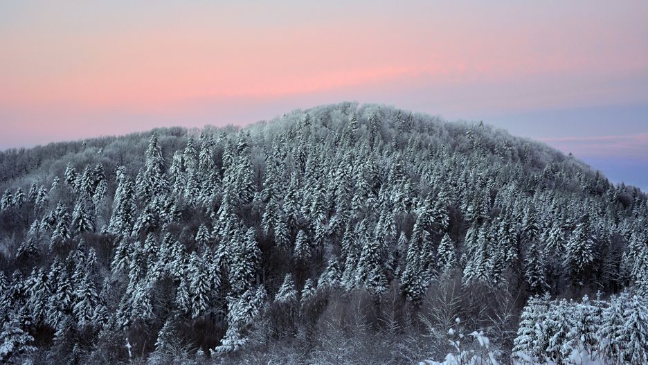 Bieszczady. GOPR ostrzega przed lawinami