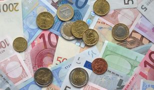 Euro w Polsce w 2025 roku? Ekonomiści komentują scenariusz szybkiego przyjęcia wspólnej waluty