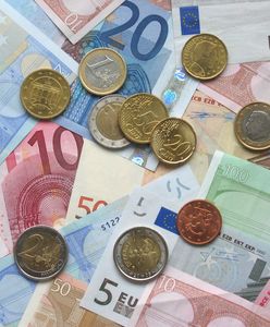 Euro w górę po ogłoszeniu wyników we Francji