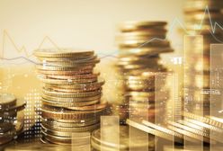 "Wprost". Lista najbogatszych Polek. Wśród nich gwiazdy telewizji i mody. Ranking otwiera Dominika Kulczyk