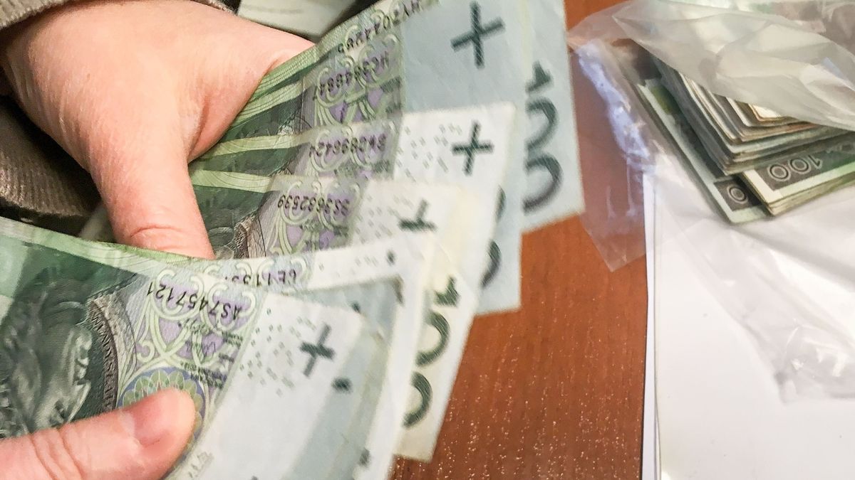 Przedsiębiorca wrzuci w koszty na przykład wydatki na kurs językowy, dodatkowe studia, miejsce postojowe, czy na rachunki za mieszkanie, w którym prowadzi działalność. 