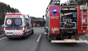 A1 w Łodzi częściowo zablokowana. Wypadek z udziałem 4 pojazdów