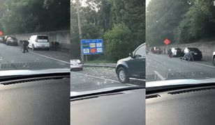 Pieniądze spadły z nieba. 175 tys. dolarów w gotówce na autostradzie