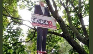 Kielce. Powiesili na drzewie wizerunek Artura Gierady z PO. Prokurator postawił zarzuty dwóm mężczyznom