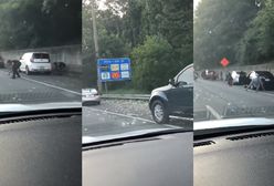 Pieniądze spadły z nieba. 175 tys. dolarów w gotówce na autostradzie