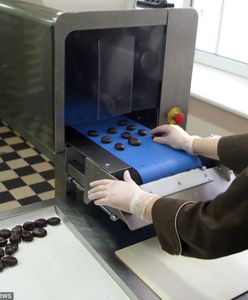 Praca marzeń. Szukają chętnych do degustacji czekolady