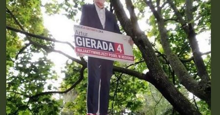 Powiesili na drzewie wizerunek Artura Gierady z PO. Policja zatrzymała dwóch mężczyzn