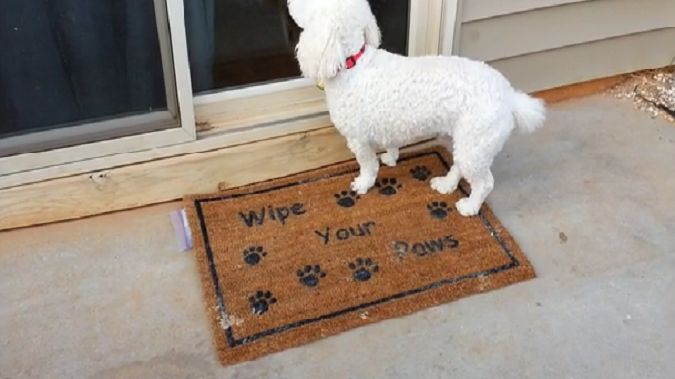 SmartMat - wycieraczka monitorująca ruch przed domem 1