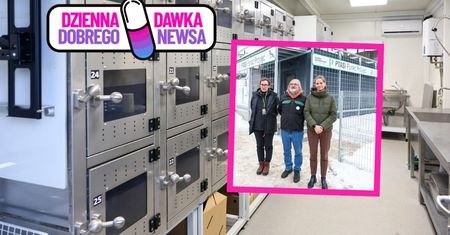 Szybsza pomoc dla ptaków. Ptasi Azyl rośnie w siłę. Nowy punkt 24/7