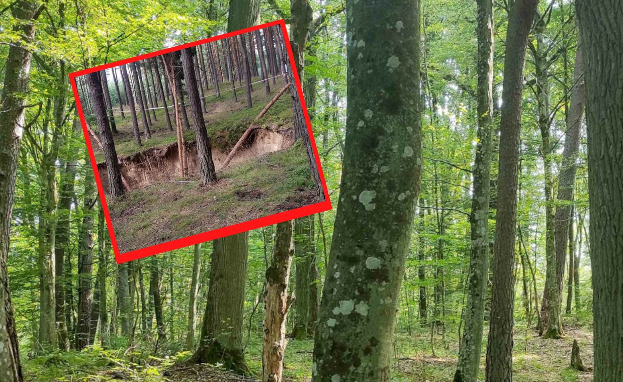 Zakaz wstępu. Ogromne zapadlisko w lesie