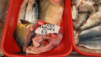 Polacy nie wyobrażają sobie bez niego Wigilii. W tym roku hodowcy mają złe wieści