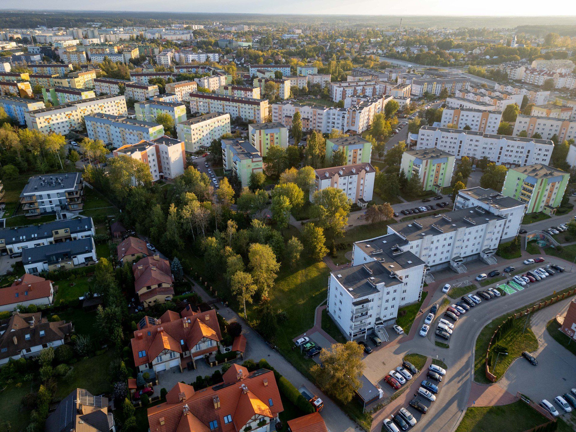 W lesie między Niską i Armii Krajowej powstanie leśny park kieszonkowy