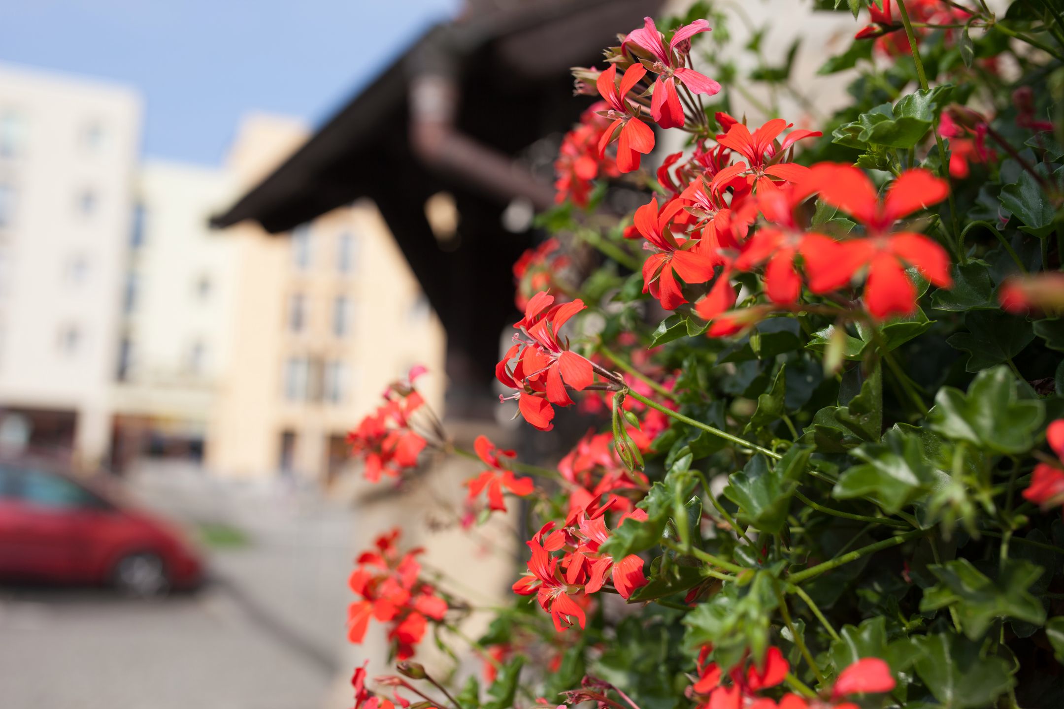 Sigma 35 mm f/1.4 ART DG HSM - od niej wszystko się zaczęło [recenzja] 11