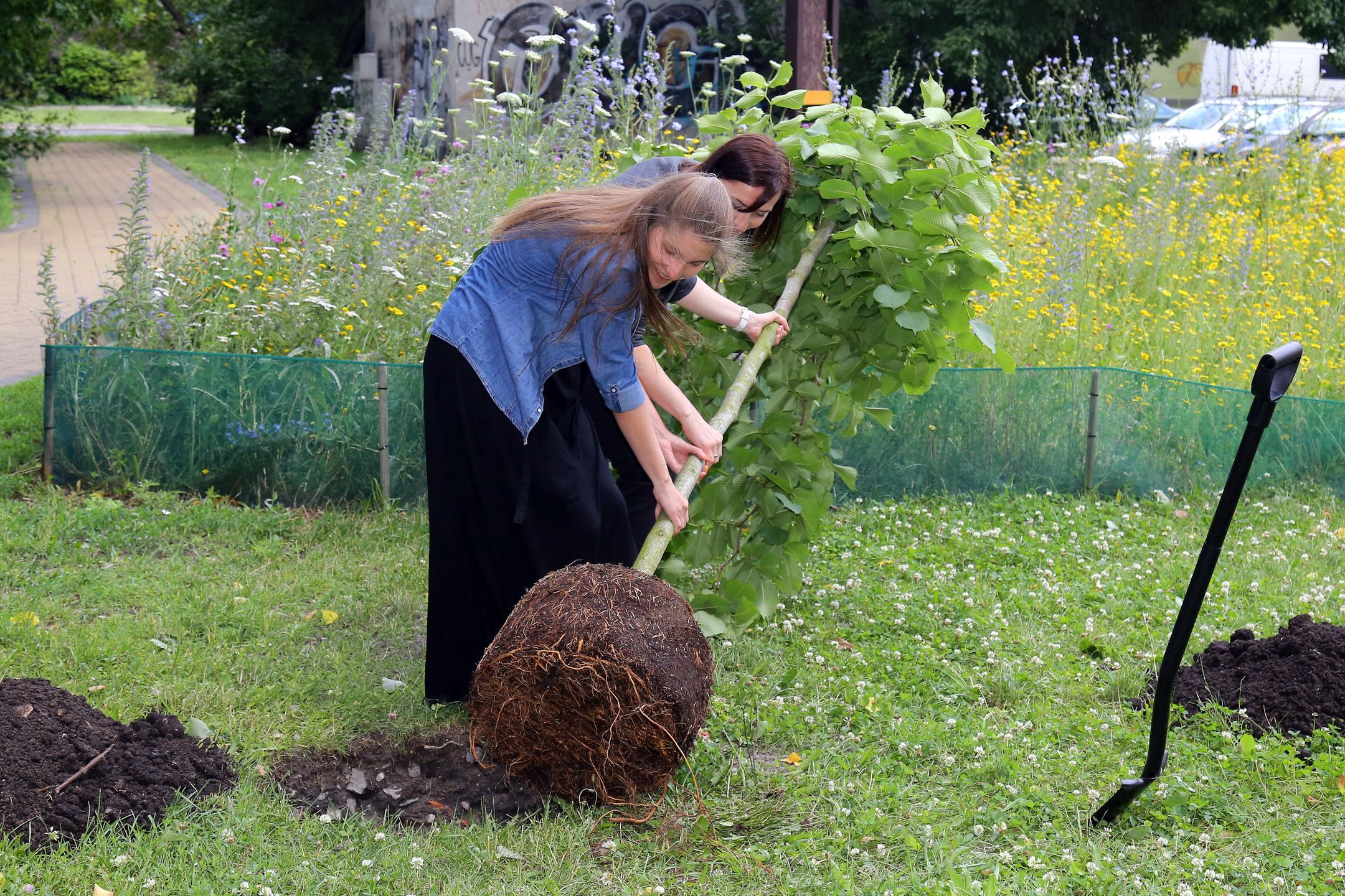 Warszawa. W tym roku wyniki 8. edycji budżetu obywatelskiego zdominowały projekty dotyczące zieleni
