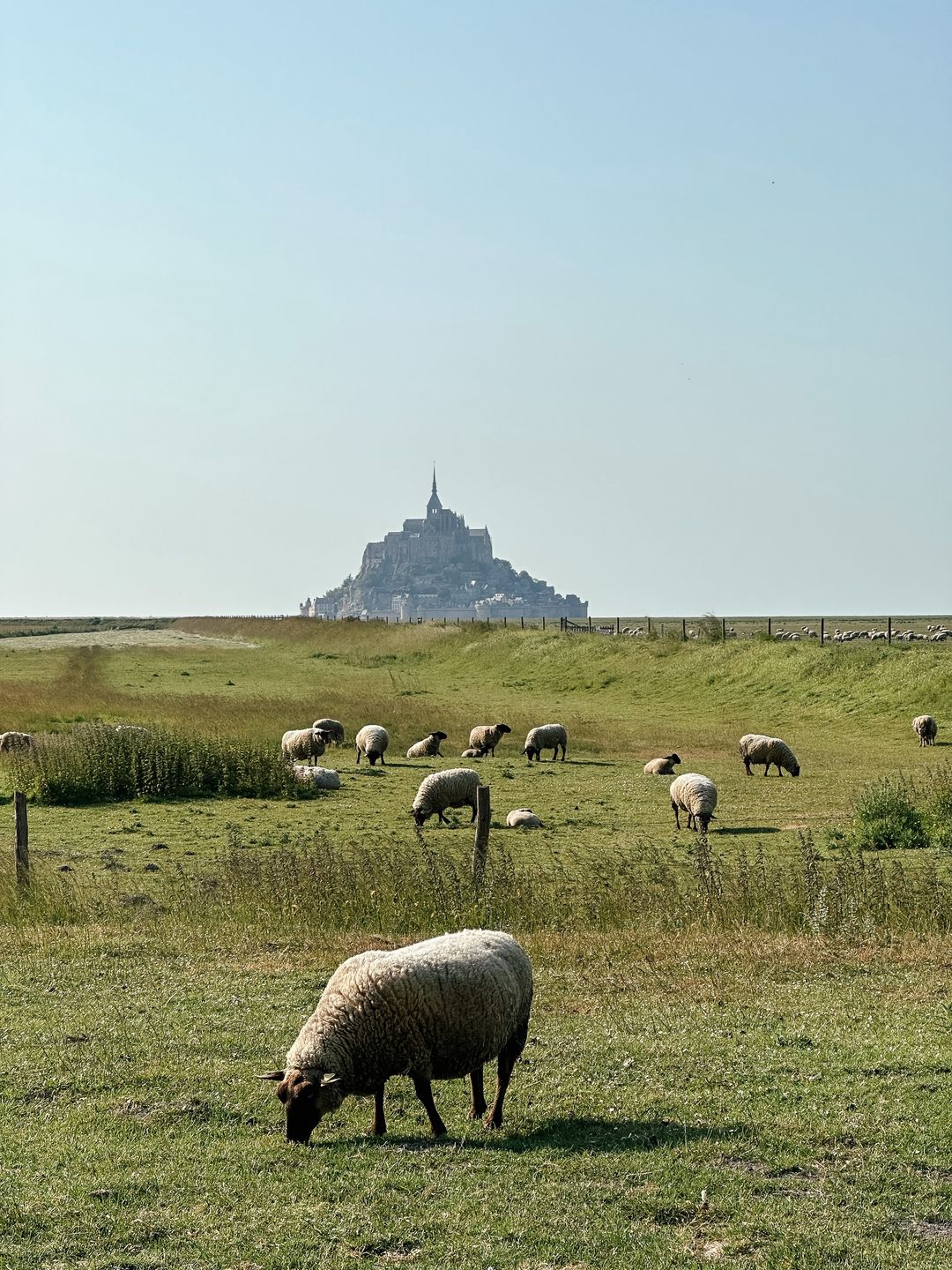 Mont Saint-Michel jest widoczne z odległości kilku kilometrów