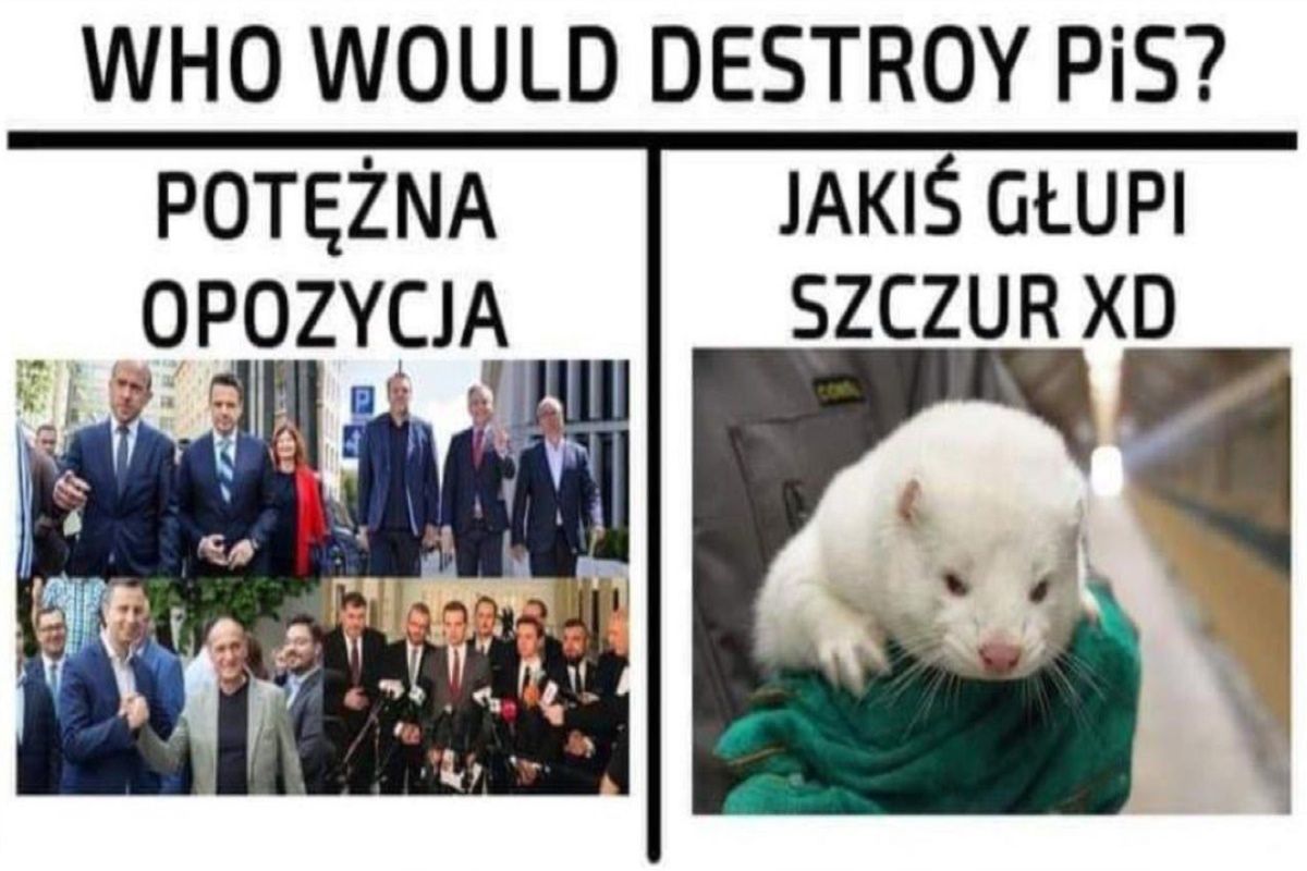 Nie wszyscy zwolennicy PiS zgadzali się z decyzją o nowelizacji prawa