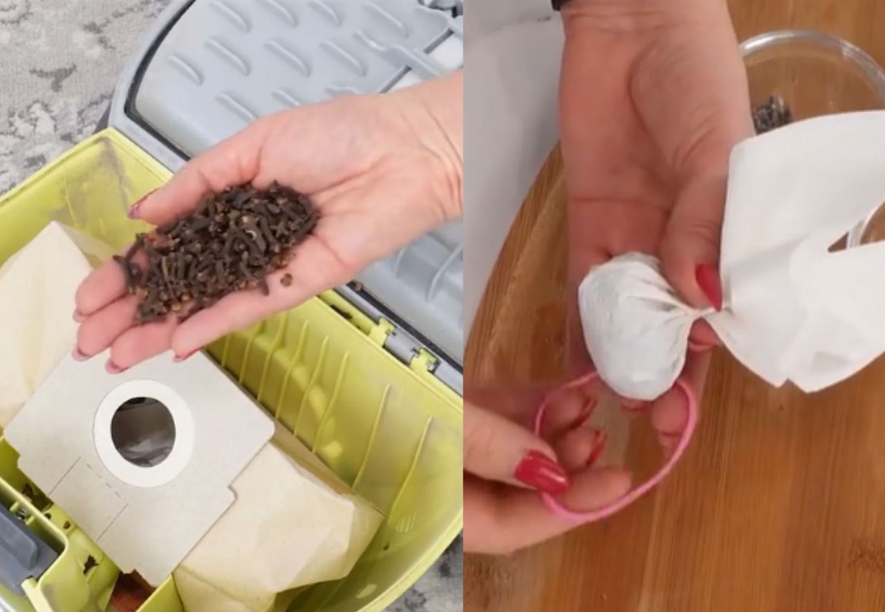 Vacuum hack: Fresh scent and natural bug repellent combo