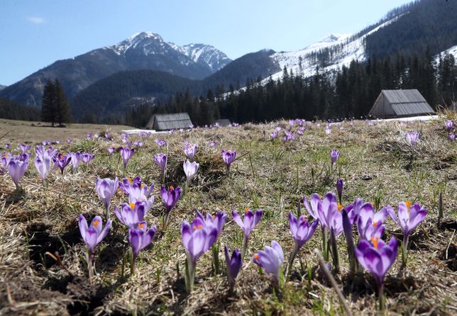 Warstwy śniegu zalegają jeszcze w kilku miejscach w Tatrach