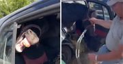 Koń zamknięty w bagażniku auta. Interweniowała policja